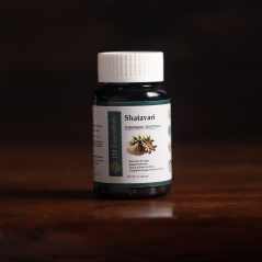 Shatavari Asparagus Racemosus